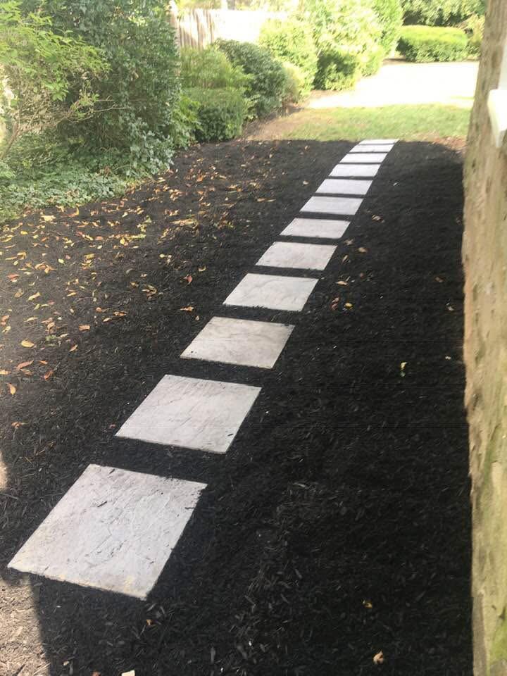kitchen renovation photo